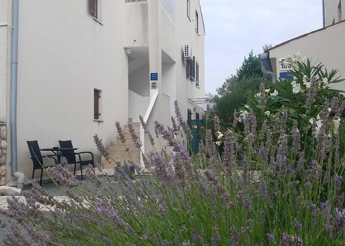 Apartment Kristian Cres