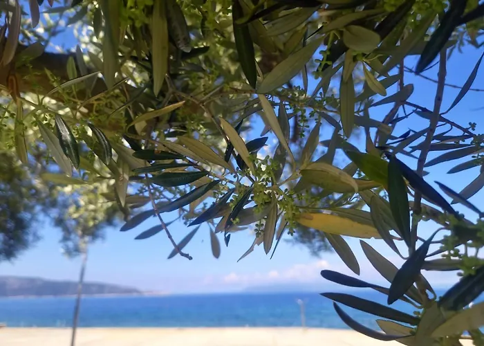 Kristian 아파트 크레스